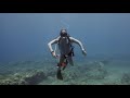 World Championship of Underwater Video - Tenerife 2019 <br />7th Rank