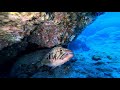 World Championship of Underwater Video - Tenerife 2019 <br />8th Rank