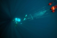 CMAS  Mermaid  surfacing from the depth