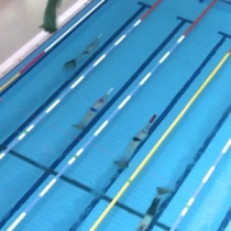 Round of Finswimming World Cup - Eger, Hungary