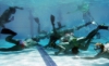 19th CMAS World Underwater Hockey Championships - Stellenbosch, South Africa