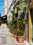 Gardens On The Pavement