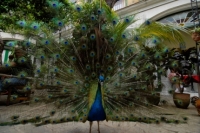 Restaurant with nice ambiente