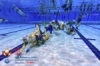 20th Underwater Hockey World Championship